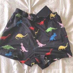 Brandy Melville Dino Shorts